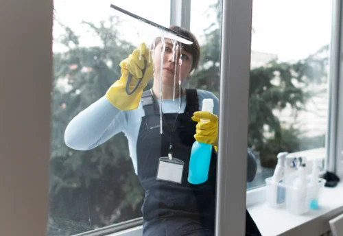 Nettoyage de vitres intérieures et extérieures à Berd'huis